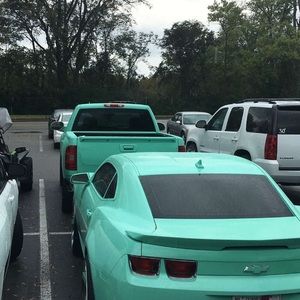 Meet your Posher, Tess